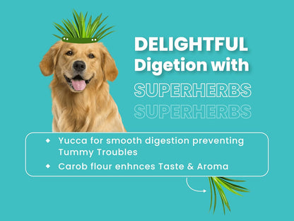 Bark Out Loud Adult Dry Dog Food, Chicken & Ancient Grains | Low Grain Dry Dog Food for Medium & Large Breeds | High Protein Kibbles with Prebiotics, Super Herbs, Antioxidants & Fibre 2 kg | Low Grain, Antioxidants Fibre, Prebiotics & Super Herbs