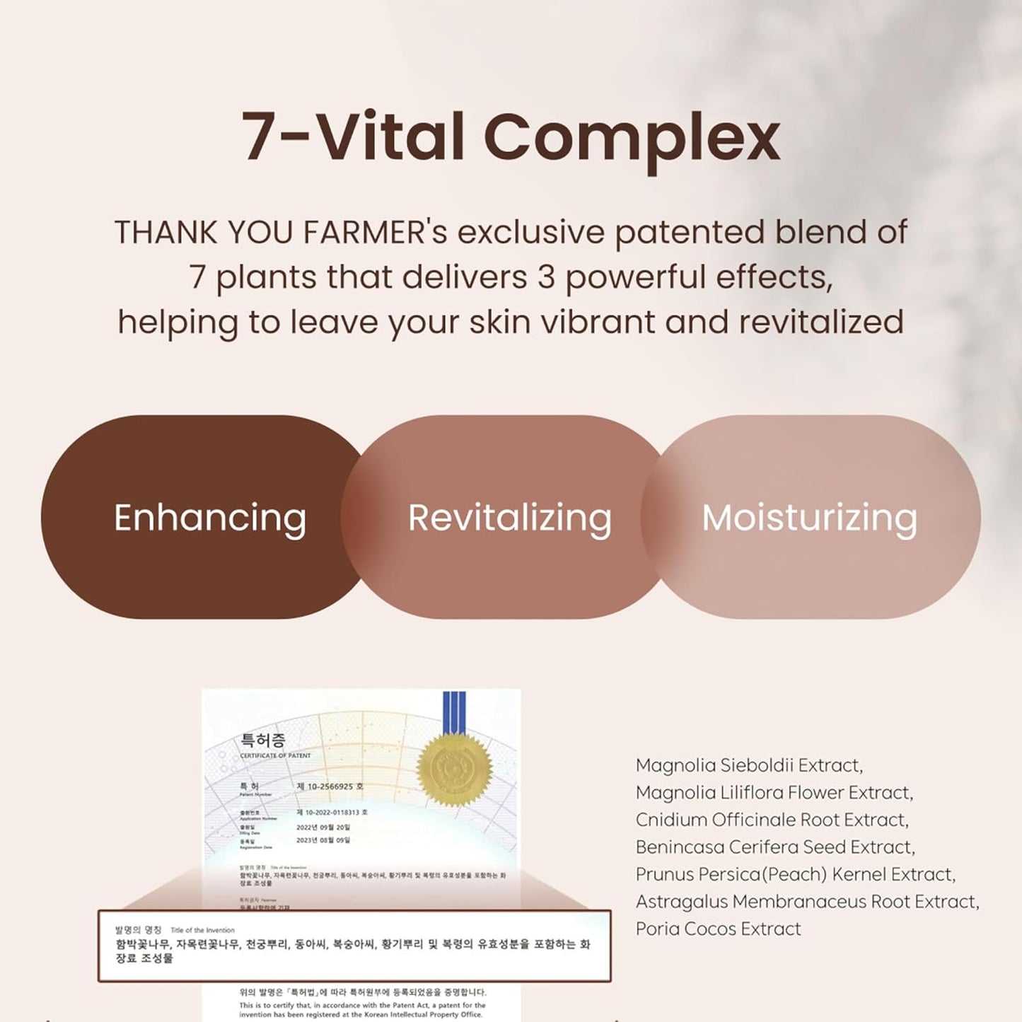 THANKYOU FARMER BakuVita Revitalizing Ampoule (50 ml) Face Serum with Bakuchiol Retinol Alternative with Vitamin C + E | Korean Serum for Hydration, Firming, Pore Care & Radiant Glow, Vegan