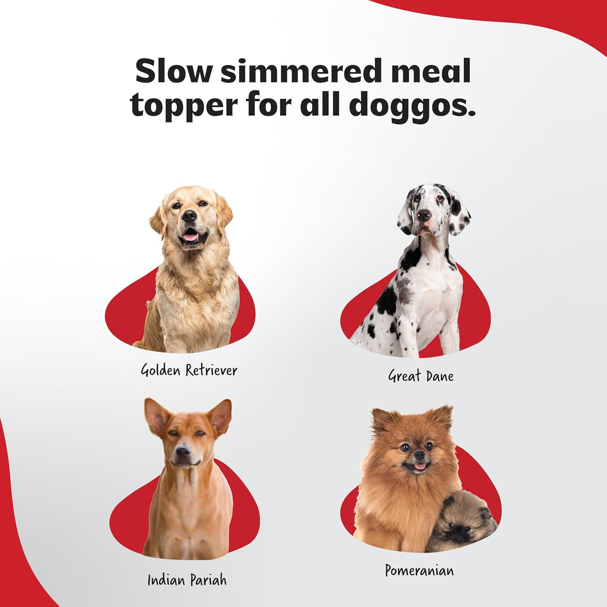 RIGHT4PAWS Natural Meal Topper Gravy - Chicken, Sardine & Bone Broth for Dogs - High in Collagen & Nutrient-Rich - 100% Natural, No Preservatives, Supports Joint & Muscle Health