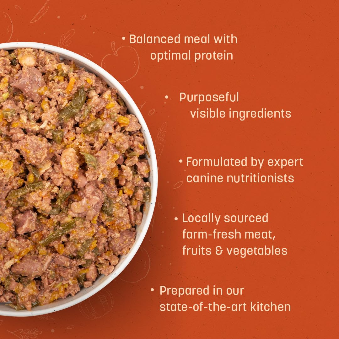 Sara's Wholesome by HUFT Grain-Free Chicken & Veggies Dog Food – 300 gm | Wet Meal with Human-Grade Ingredients | Gluten-Free, Balanced Nutrition | Suitable for Adults & Puppies