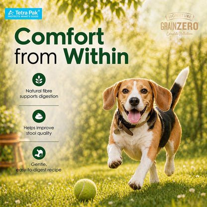 Grain Zero Dog Fresh Food Tetra Pak Lamb & Vegetables, for Adult & Puppy, 350g | Supports Joint & Health | Supports Immune System | Anti Inflammatory Properties | Ready to Serve | One Pack One Meal