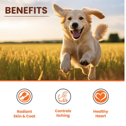 LICKICIOUS Skin & Coat Syrup for Dogs & Cats 200 ml | 55% Salmon Fish Oil, Omega 3 6 9 | Shinier Coat, Itch & Allergy Control | Improves Skin & Hair Health | Nutritional Supplement/Tonic for Pets