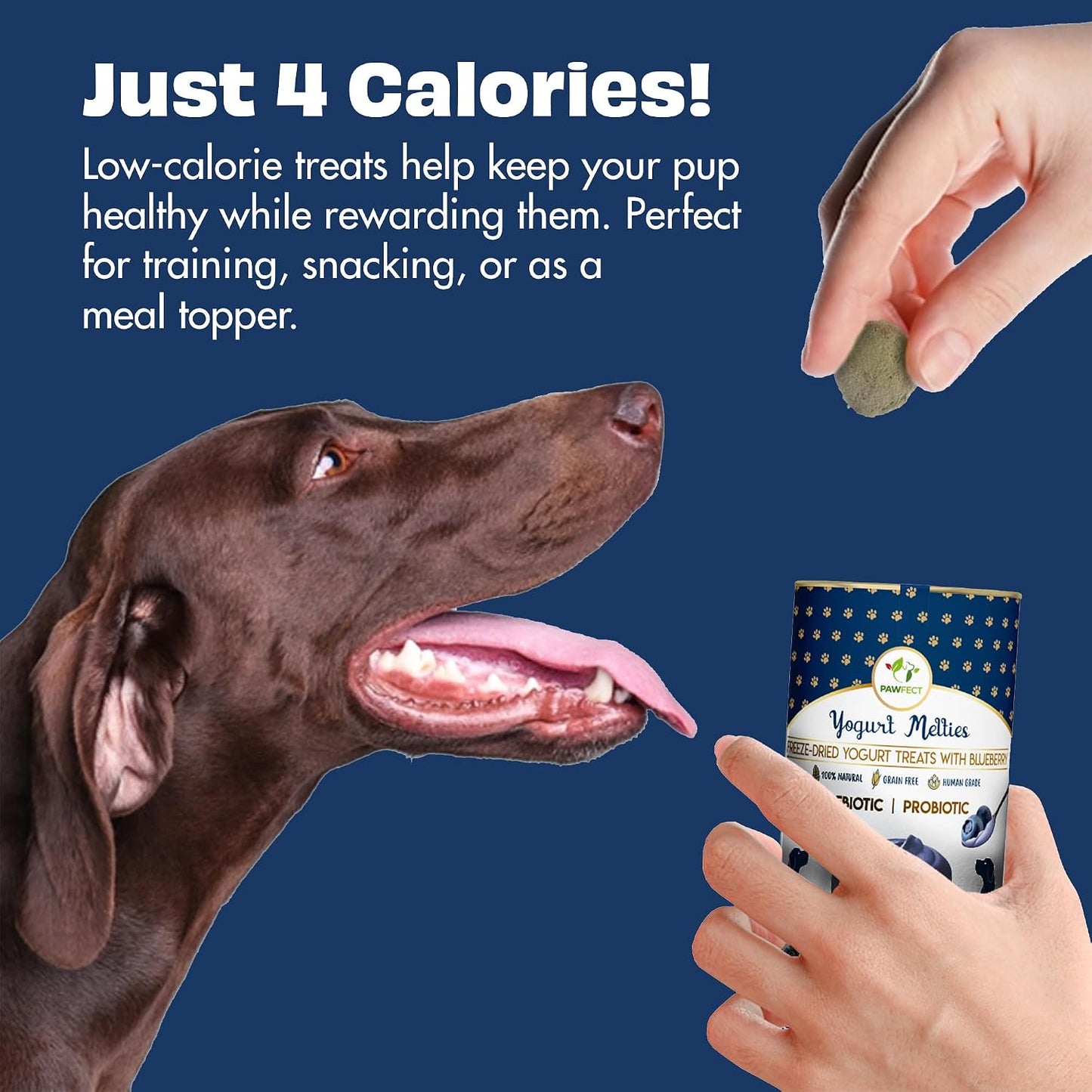 Pawfect Yogurt Melties Freeze Dried Pre and Probiotic Dog Treats with Blueberry, Cranberry, Blue Spirulina & Mint - Healthy Gut - Low Calories - Grain & Gluten Free - Training Treats (38g/1.34oz)