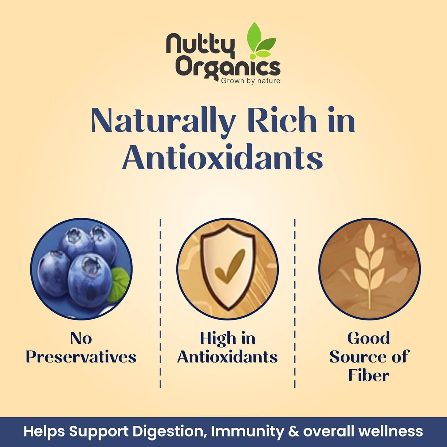 Nutty Organics Whole Dried Blueberries 150g | No Refined Sugar | 100% Natural | Rich in Antioxidants & Fiber | Premium Imported Dry Frui