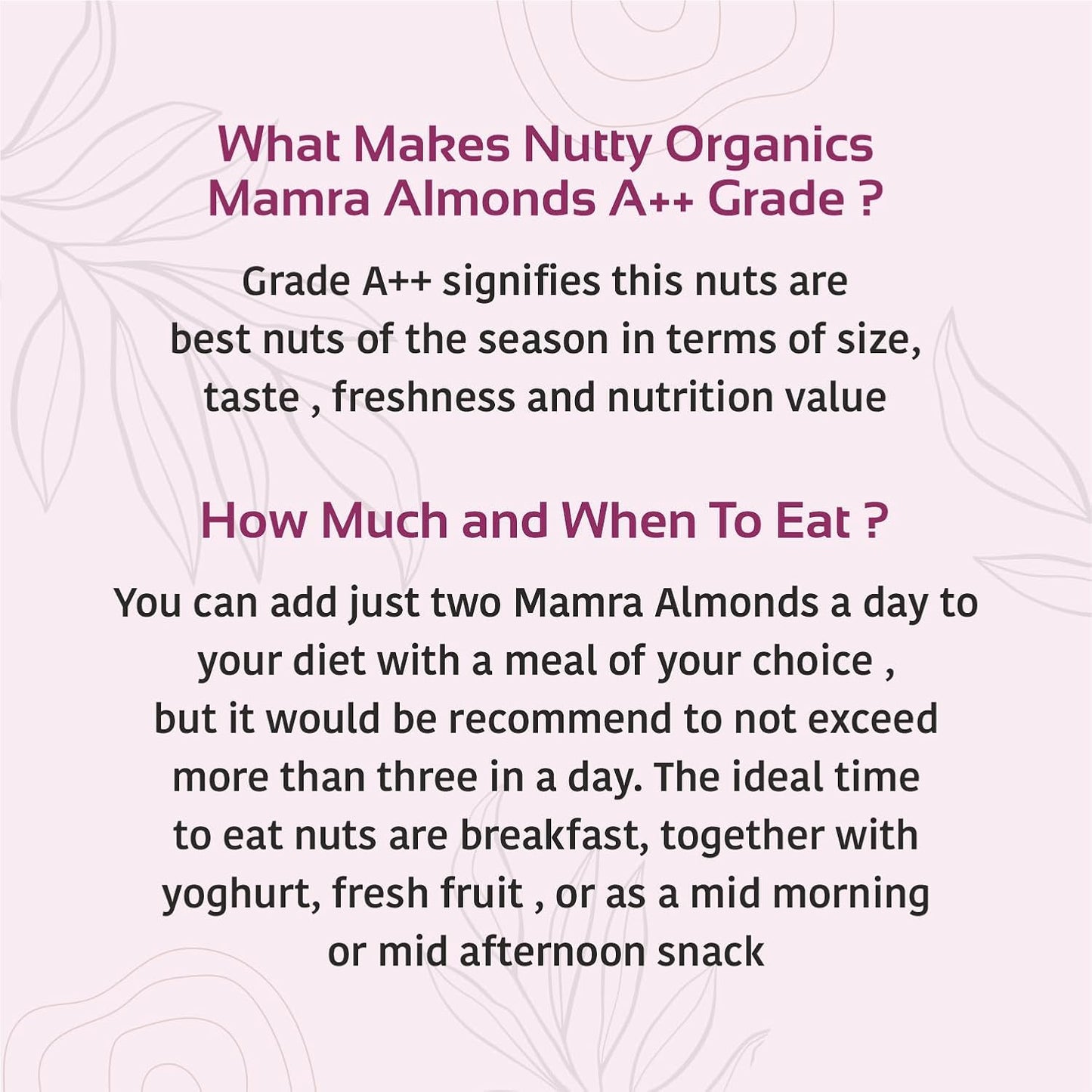 Nutty Organics Almonds Mamra - 500 GM (Grade A ++ Nuts, Premium, Rich In Oil) Richest Natural Source of Vitamins, Magnesium & Protien | Special Mamra Badam Giri