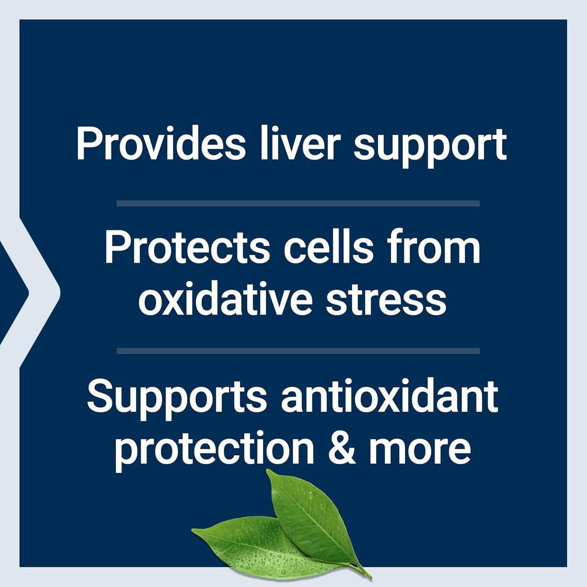 Text on a blue background about liver support, oxidative stress protection, and antioxidant support with a green leaf.