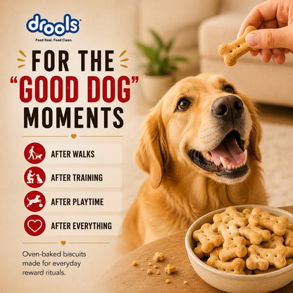 Drools All Life Stages Dog Treat Biscuits 800g Jar | Real Chicken Flavour | All Breed Formula | Promotes Lustrous Skin & Coat | Vitamins & Minerals | Reduces Tartar Build Up