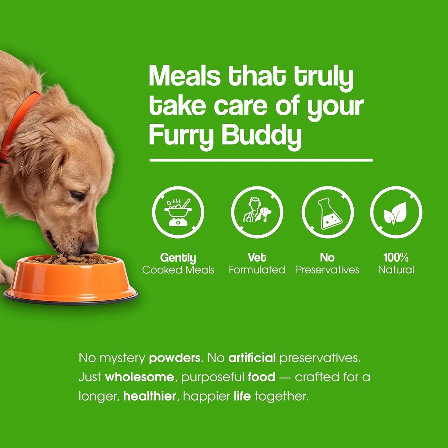 Wuuff & Meow Lean Care+ Gently Cooked Wet Dog Food | High Protein, Grain Free | Powered by BIOFIBER™ with Arbocel® Purified Cellulose | Fresh & Functional Food | (100 g (Pack of 1))
