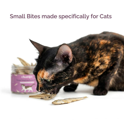 Chompz Freeze Dried Anchovy Cat Treats | Single Ingredient Fish Treat | 15g | Crunchy Cat Treats