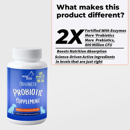 WOW DOG Digestion Supplement & Immunity Booster with Probiotic + Prebiotics Enzymes for Dogs and Cats 100 GM- Helps Relieves Diarrhea and Constipation, Reduce Gas, Helps Gut Health