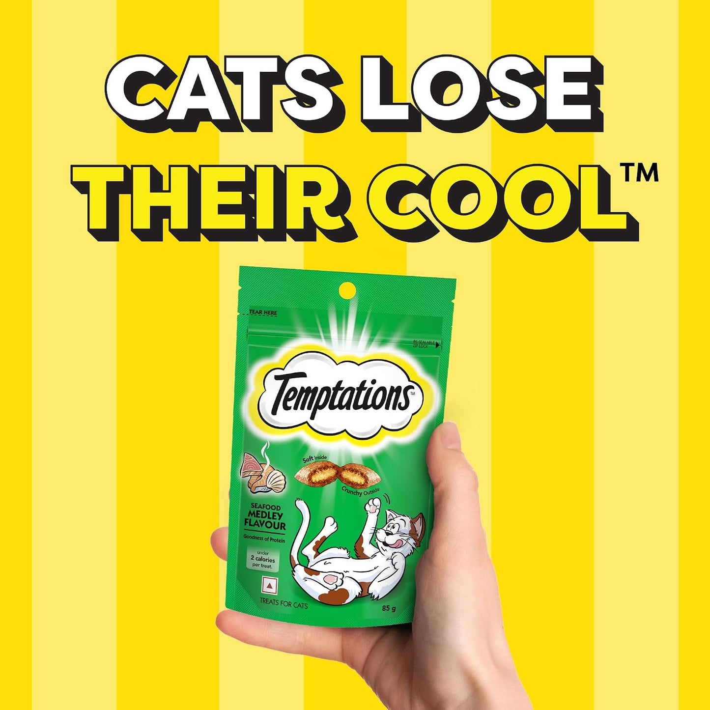 Temptations Crunchy Cat Treats, Seafood Medley Flavour, 85 g, Goodness of Protein, Vitamins & Minerals, Soft Inside Crunchy Outside, Adult, Chunk