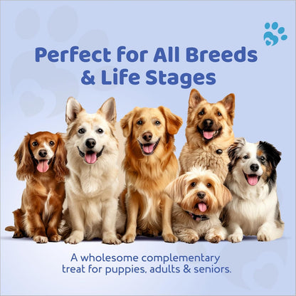 Petoska Chicken & Mixed Berries Dog Biscuits for Small, Medium & Large Breeds|500g Jar| Real Chicken & Berry Blend Treats | Crunchy Dog Food Biscuits