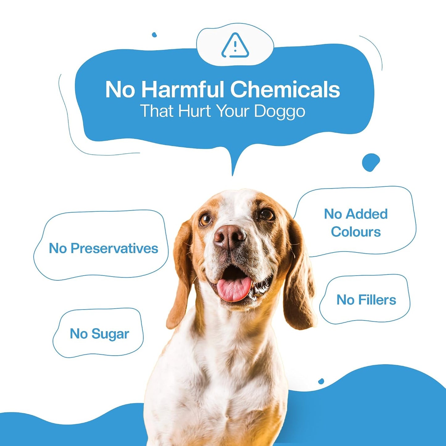 BLEP Healthy Dog Food for Adult & Puppies | Chicken Rice | Zero Preservatives | Wet Dog Food | Travel Packs | Complete Meal & Balanced | 300g | Pack of 1
