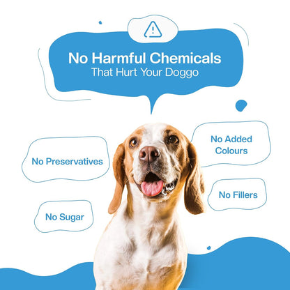 BLEP Healthy Dog Food for Adult & Puppies | Chicken Rice | Zero Preservatives | Wet Dog Food | Travel Packs | Complete Meal & Balanced | 300g | Pack of 1
