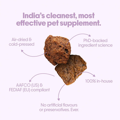 Hope Skin & Coat Supplement for Dogs 30 Vegan hoplets | Pet Chews for Skin Allergies, Itching & Scratching Relief | Biotin, Collagen, Omega 3 & 6 | Cold-Pressed | Hypoallergenic | Honest Pet Co