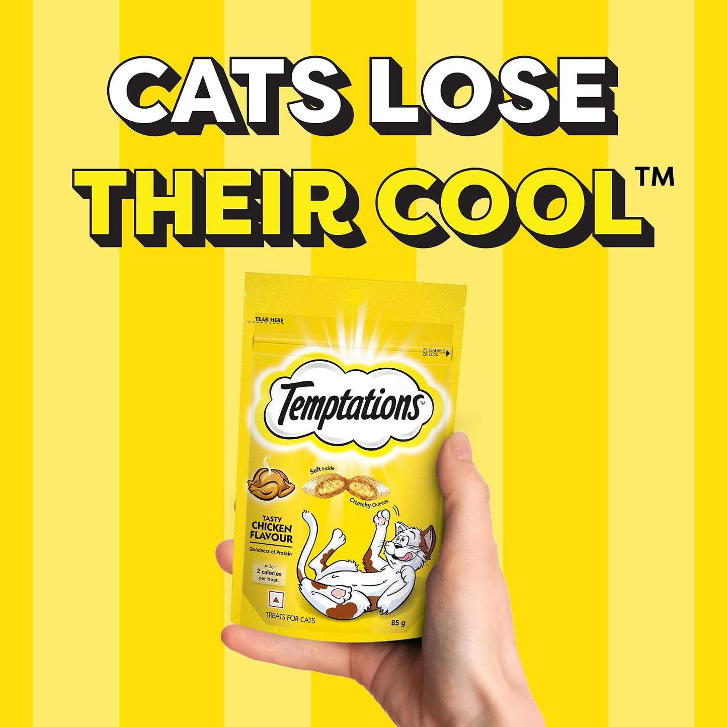 Temptations Crunchy Cat Treats, Tasty Chicken Flavour, 85 g, Goodness of Protein, Vitamins & Minerals, Soft Inside Crunchy Outside