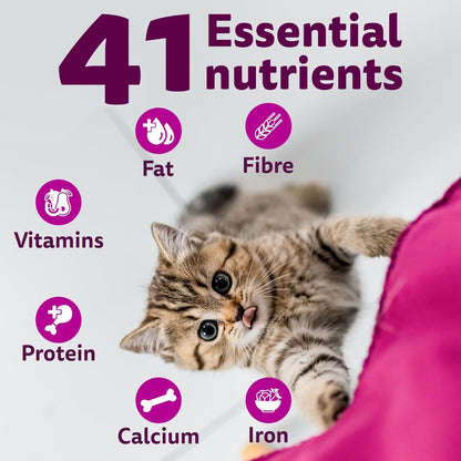 Whiskas Junior Mother Cat & Kitten (2-12 Months) Dry Cat Food, Mackerel Fish Flavour, 450 g, Contains 41 Essential Nutrients, Complete & Balanced Nutrition for Mother Cats & Kittens