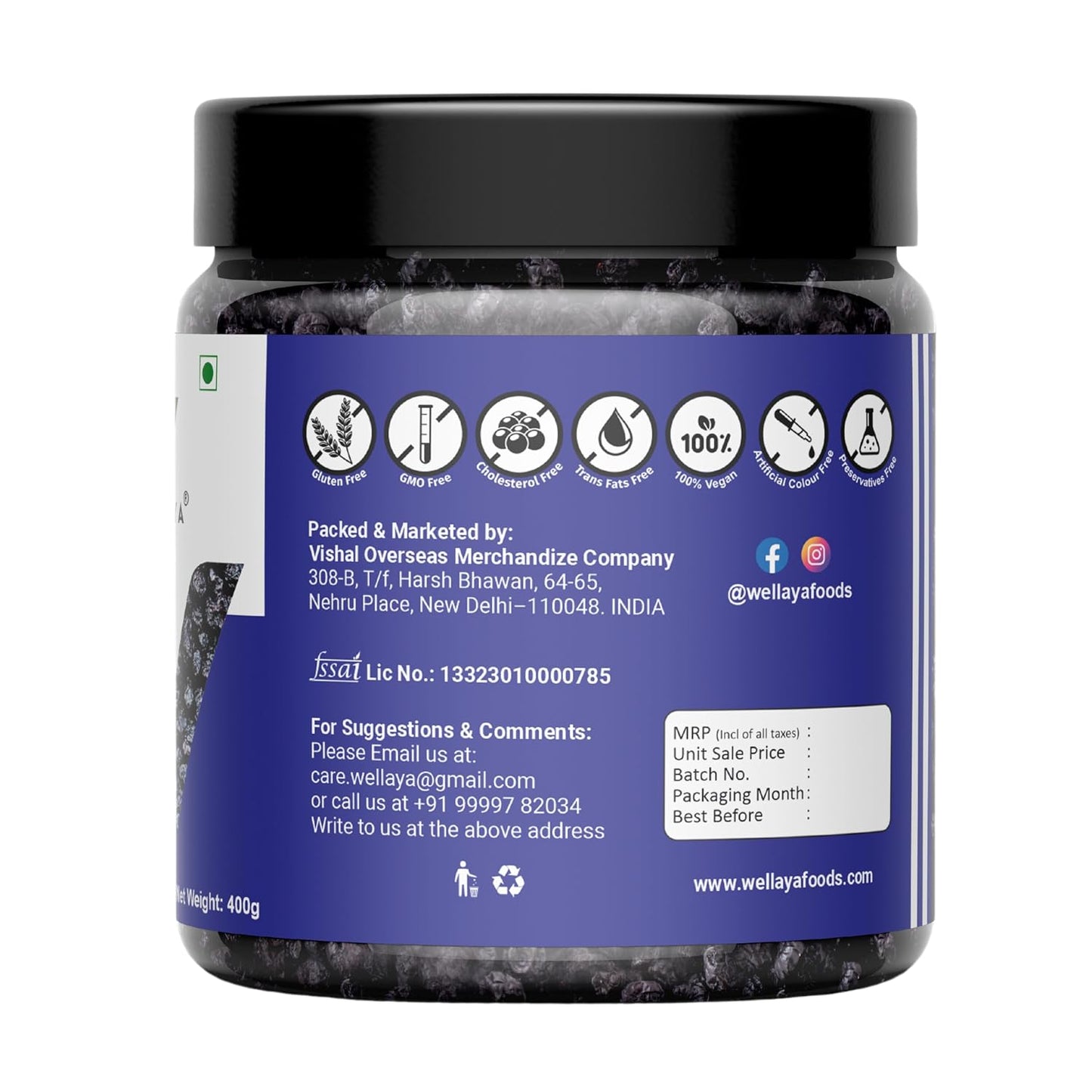 WELLAYA Premium Blueberry | Dry Fruit | High Nutrient and Antioxidant | Healthy & Tasty Whole & Dried Blueberry | Rich in Calcium and Vitamin K | Vegan