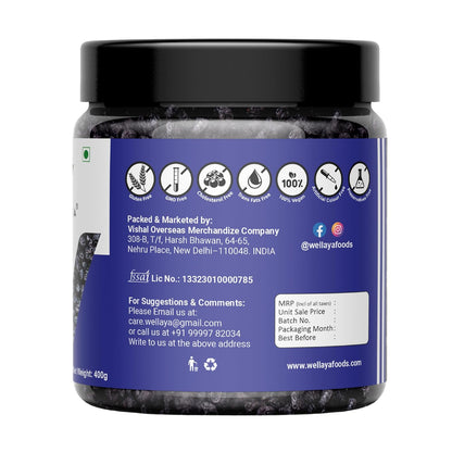 WELLAYA Premium Blueberry | Dry Fruit | High Nutrient and Antioxidant | Healthy & Tasty Whole & Dried Blueberry | Rich in Calcium and Vitamin K | Vegan