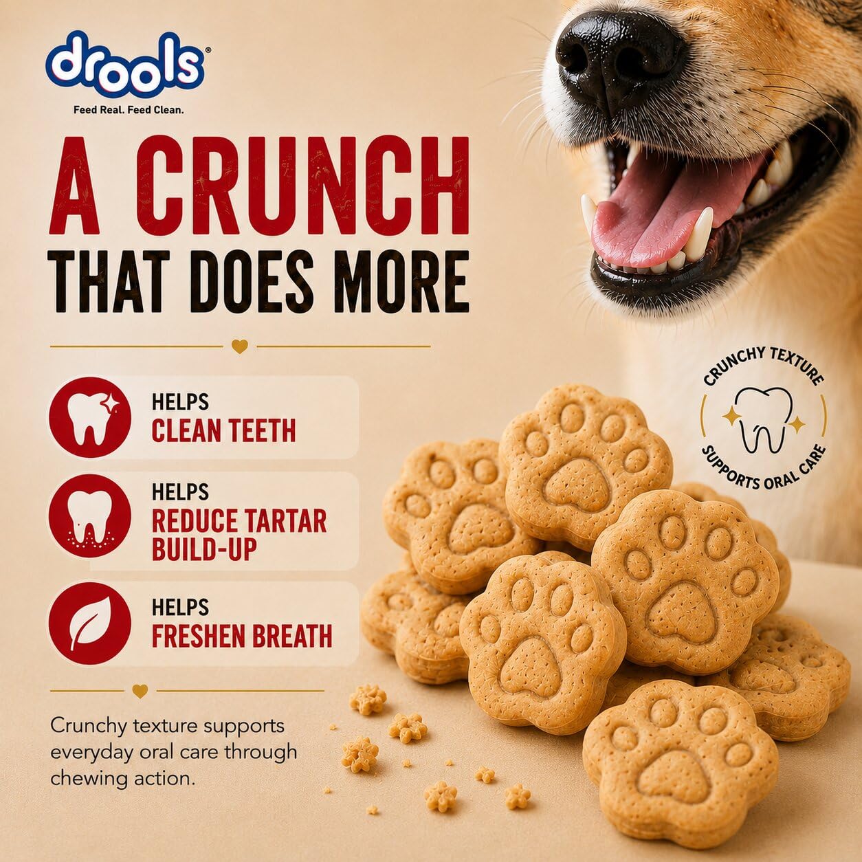 Drools All Life Stages Dog Treat Biscuits 400g Jar | Real Chicken Flavour | All Breed Formula | Promotes Lustrous Skin & Coat | Vitamins & Minerals | Reduces Tartar Build Up