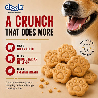 Drools All Life Stages Dog Treat Biscuits 400g Jar | Real Chicken Flavour | All Breed Formula | Promotes Lustrous Skin & Coat | Vitamins & Minerals | Reduces Tartar Build Up