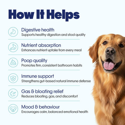 Hope Pre & Probiotics Supplement for Dogs - 30 Chicken hoplets | Paw Licking & Scratching Relief | Tasty Chews with Hing for Absolute Gut Health | Coldpressed| Air-Dried | Honest Pet Co