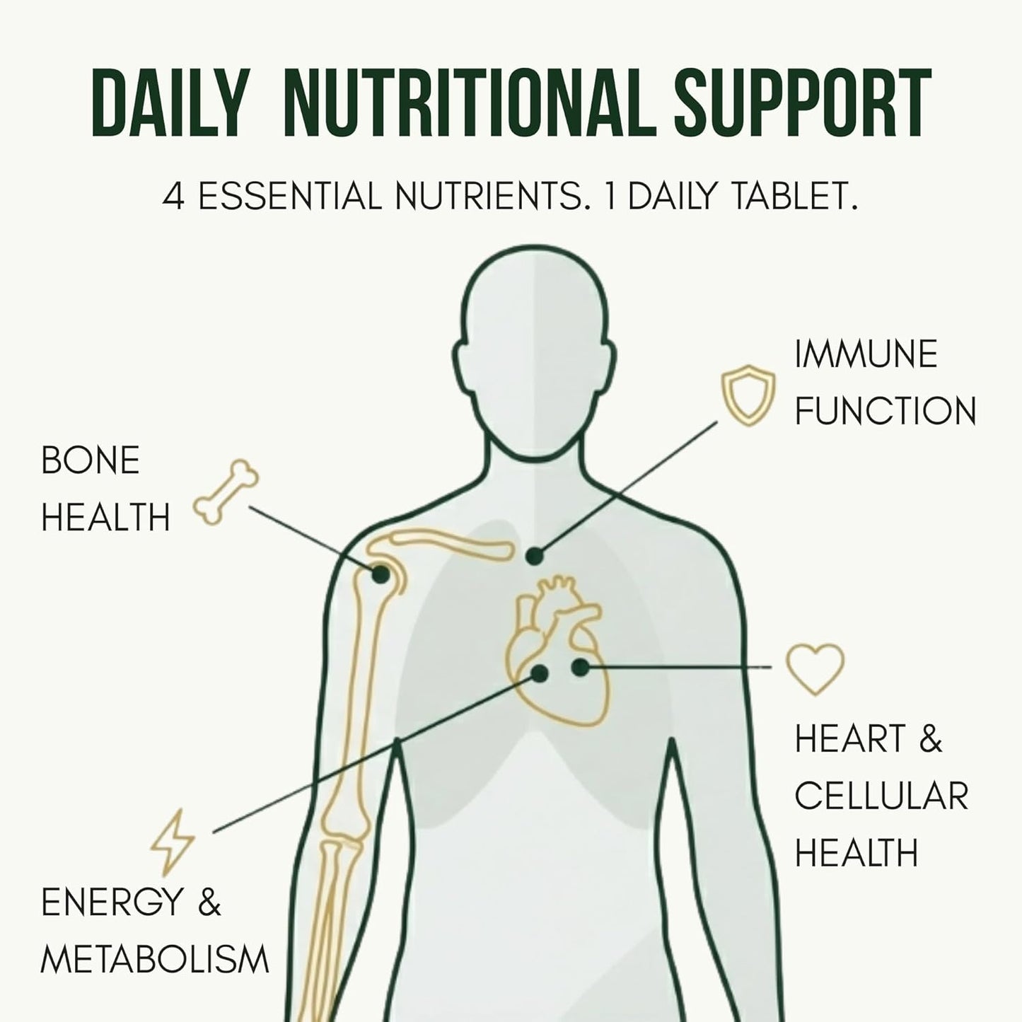 ANUPURAK Vegan D3 K2 B12 & Omega 3 DHA Tablets | 4-in-1 Daily Essential Supplement | Bone, Brain, Heart & Energy Support | D3 (Lichen) + K2 MK-7 (Natto) + B12 + 250mg Algal DHA | 120 Veg Tablets (120 Days)