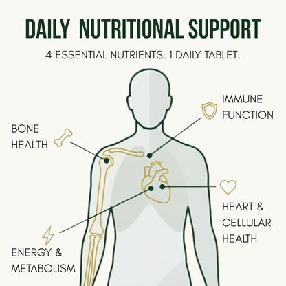 ANUPURAK Vegan D3 K2 B12 & Omega 3 DHA Tablets | 4-in-1 Daily Essential Supplement | Bone, Brain, Heart & Energy Support | D3 (Lichen) + K2 MK-7 (Natto) + B12 + 250mg Algal DHA | 120 Veg Tablets (120 Days)