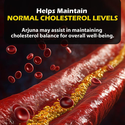 Illustration of a blood vessel with cholesterol deposits and text about maintaining normal cholesterol levels.