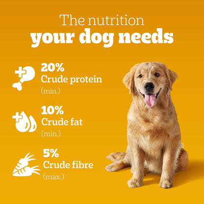 Pedigree Adult Dry Dog Food, Meat & Rice, 1 kg, Contains 37 Essential Nutrients, 100% Complete & Balanced Food for Adult Dogs
