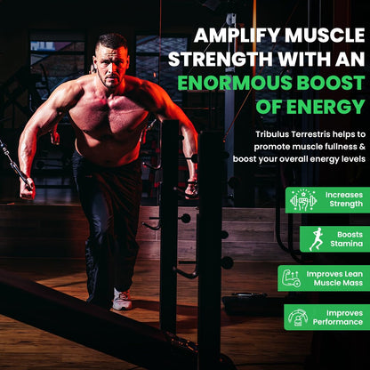 Muscular man lifting weights in a gym with promotional text about Tribulus Terrestris benefits.