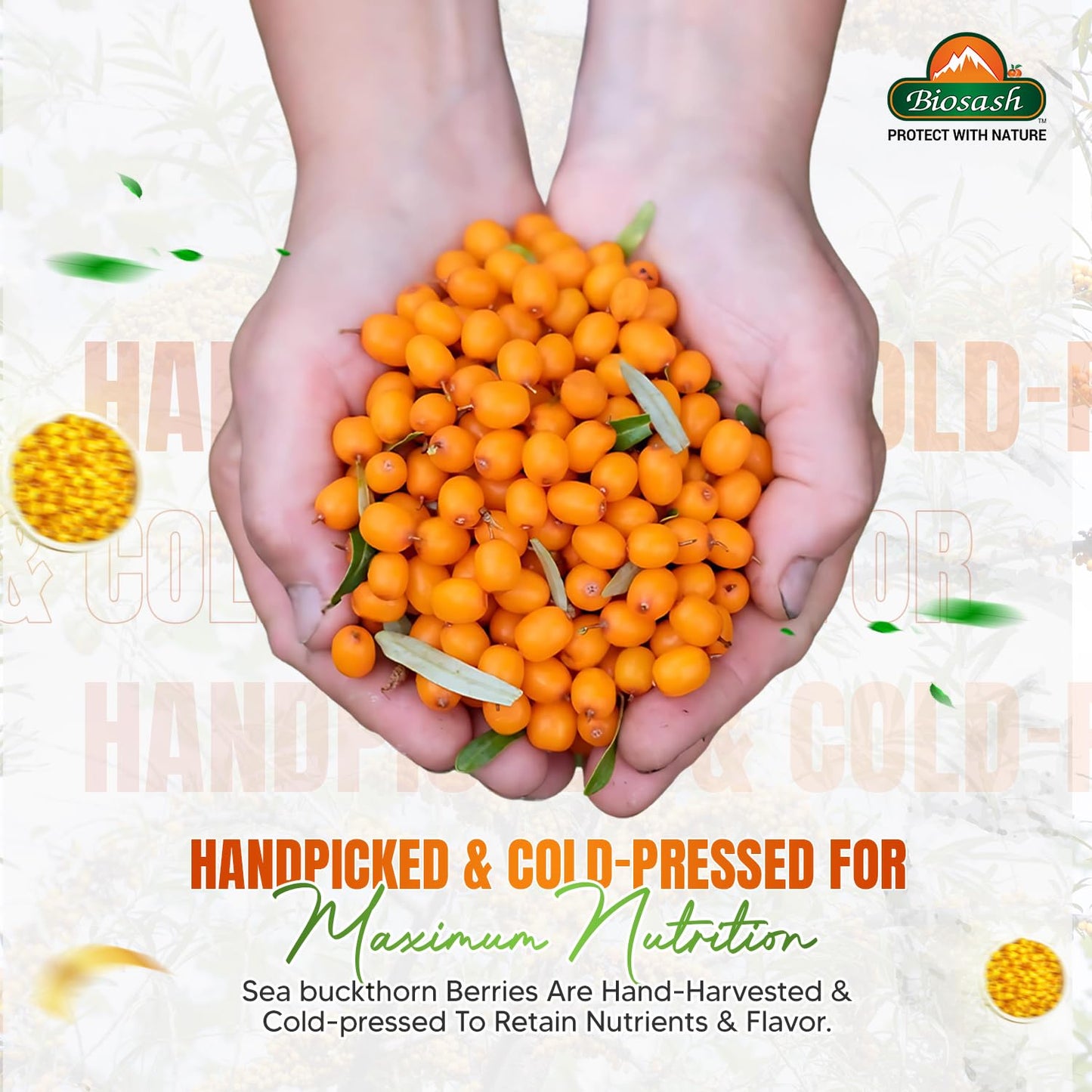 Biosash Sea Buckthorn Juice 250ml | Organic Cold-Pressed Pure Juice | Rich in Omega 3 6 7 9, Vitamins & Antioxidants | No Added Sugars, Sea Buckthorn Berries for Wellness Vitality &Immunity