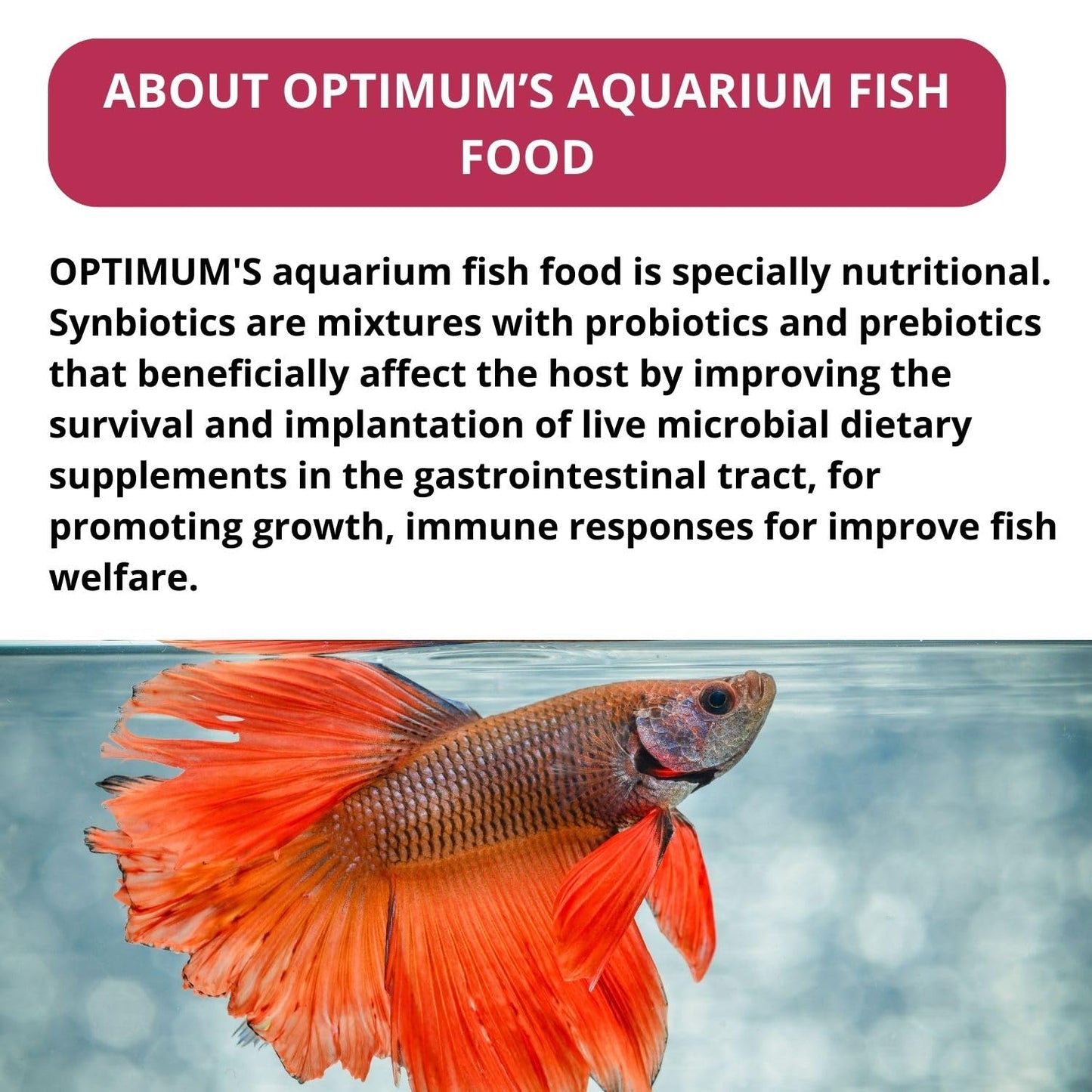 Optimum Mini Pellet Fish Food (Original from Tunai Store) (500g, Mini Pellets)