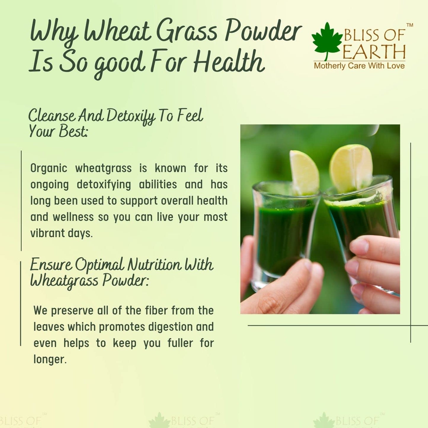 Bliss of Earth Organic Wheatgrass Powder 33 Servings Super food Dietary Supplement Rich in Vit A & B | Non GMO | Gluten Free 100 GM