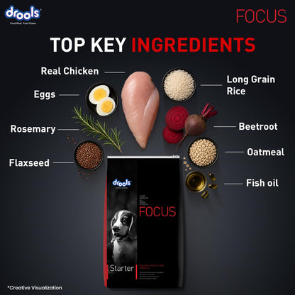 Drools Focus Starter Super Premium Dry Dog Food 1.2kg Pack | Chicken Flavour | Brain Development | Antioxidants like Vitamin E & C | Energy and Essential Nutrients