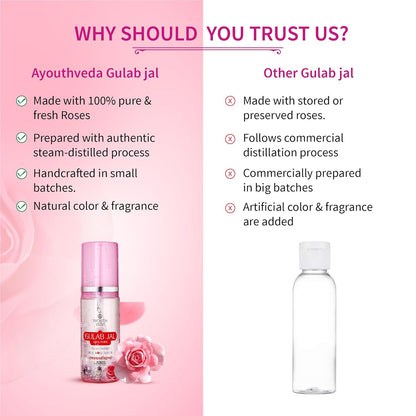 Ayouthveda Gulab Jal Steam Distilled Real Rose Water Pure & Natural Rose Water & Skin Toner | Organic and Chemical Free Makeup Remover | Ideal For Daily Use (Pack Of 1-100ml)