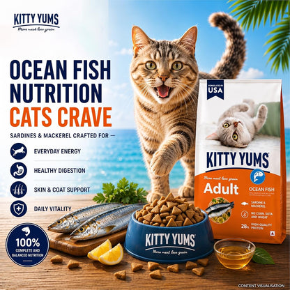 Kitty Yums Adult (+1 Year) Dry Cat Food 1.2kg Pack | Ocean Fish Flavour | Develop Strong Bones | Healthy Skin & Coat | Supports Digestive System | Maintains a Healthy Heart