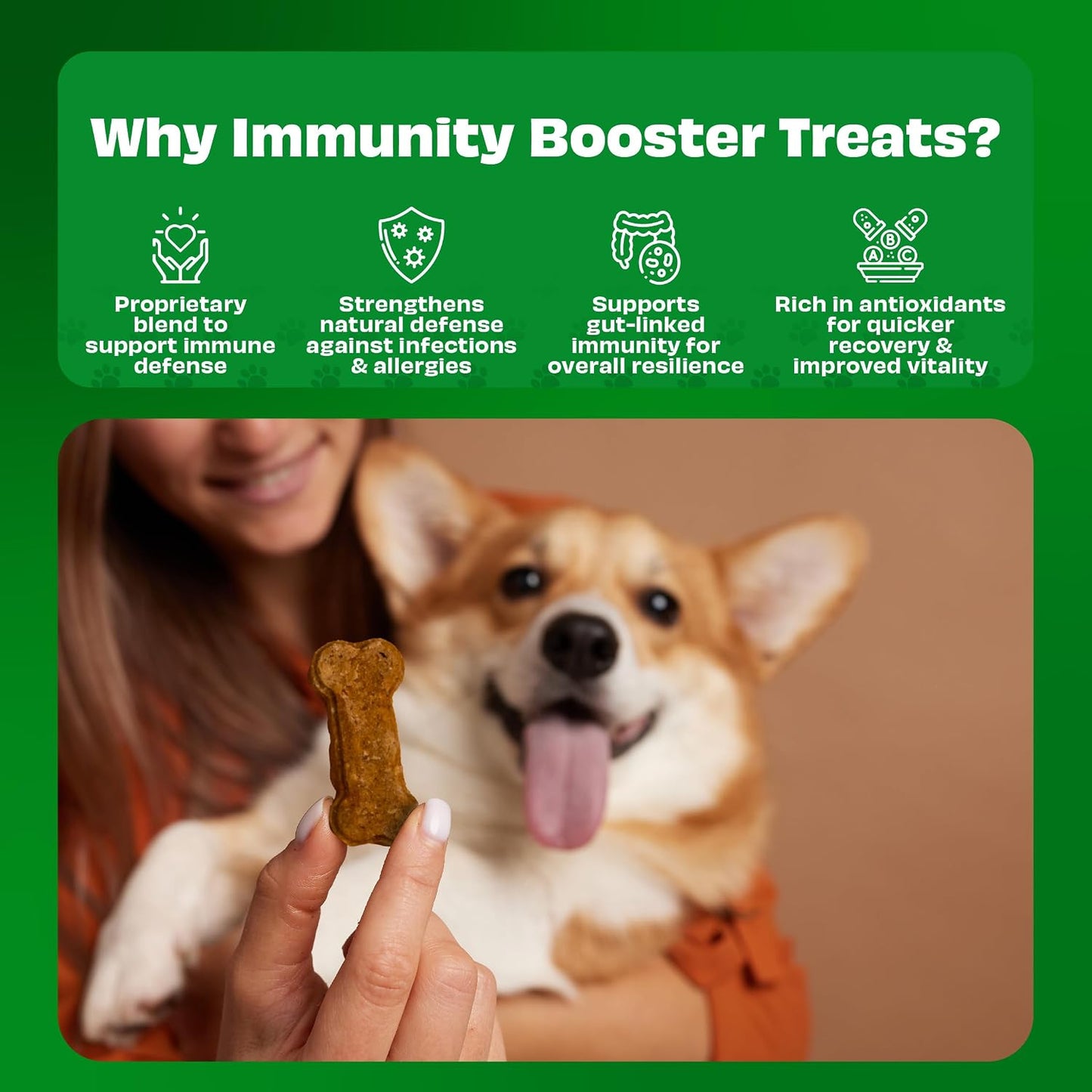 Pawfect Cheesecuits - Cheese Biscuits with Carrots, Spinach & Eggs for Gogs - 100% Natural - Grain-Free - Hypoallergenic - Rich in Antioxidants - High-Protein Dog Training Treats (100g/3.53oz)