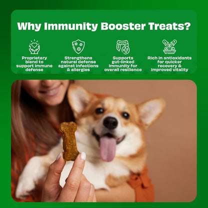 Pawfect Cheesecuits - Cheese Biscuits with Carrots, Spinach & Eggs for Gogs - 100% Natural - Grain-Free - Hypoallergenic - Rich in Antioxidants - High-Protein Dog Training Treats (100g/3.53oz)