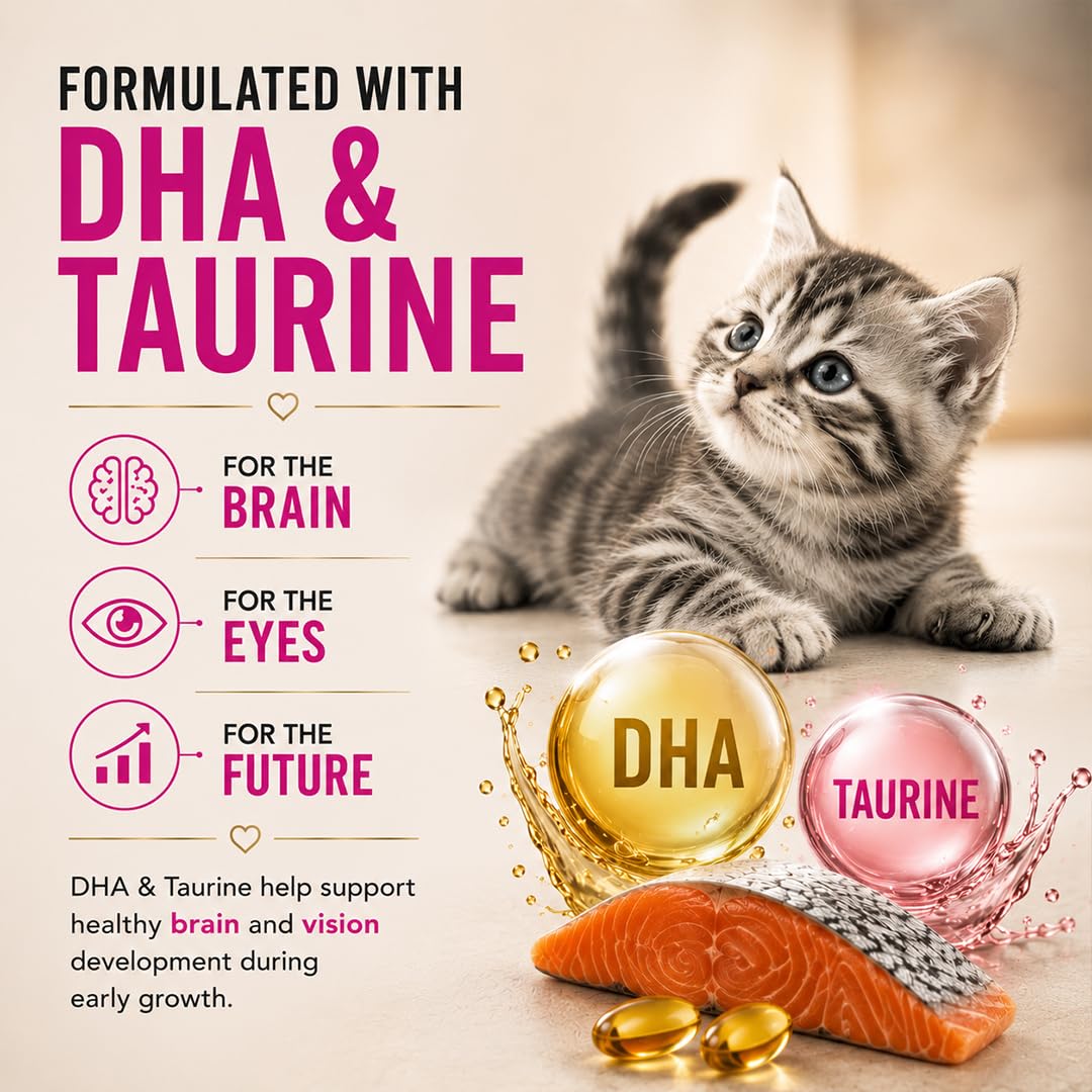 Grain Zero Kitten Dry Cat Food 1.2kg | Ocean Fish, Sardine & Mackerel | DHA Supports Brain Development | 48% Fresh Meat Content | Nourishes Skin & Fur