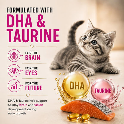 Grain Zero Mother & Kitten Dry Cat Food 400g | Ocean Fish, Sardine & Mackerel | DHA for Brain Development, 48% Fresh Fish Inclusion | Promotes Healthy Skin & Coat