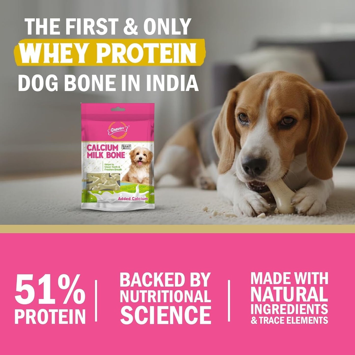 GNAWLERS All Life Stages Calcium 30 in 1 Milk Bones Dog Treats, 270 g