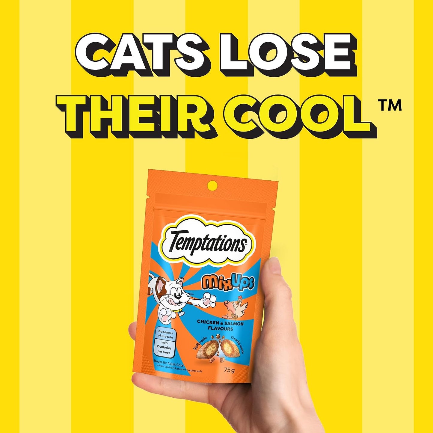 Temptations MixUps Cat Treats, Chicken & Salmon Flavours, 75g – Two Irresistible Flavours in One Pack, Crunchy Outside Soft Inside, Goodness of Protein, Vitamins & Minerals, Resealable Pouch
