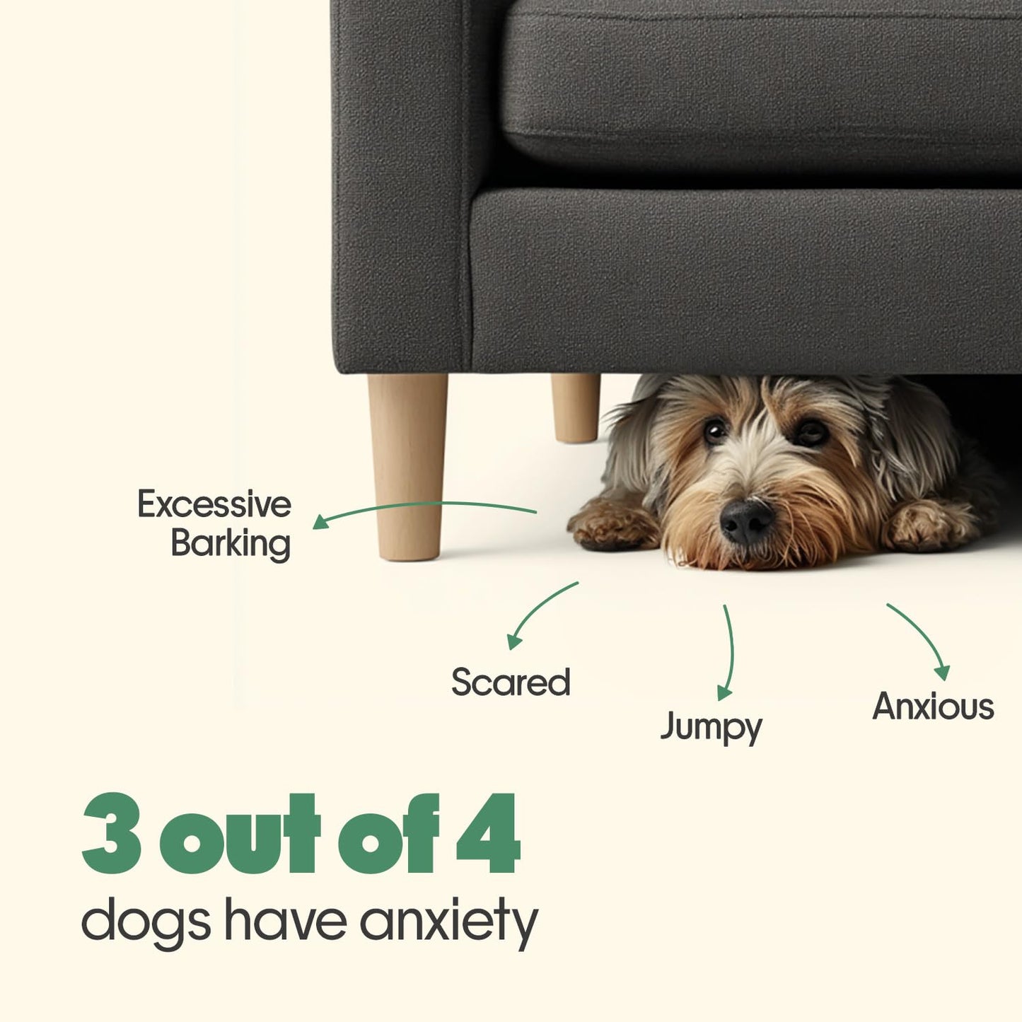 Hope Calming Chews for Dogs - 30 Vegan Hoplets | Pet Chews for Aggression, Stress & Anxiety Relief | with Ashwagandha, Magnesium | Cold Pressed, Hypoallergenic| Honest Pet Co