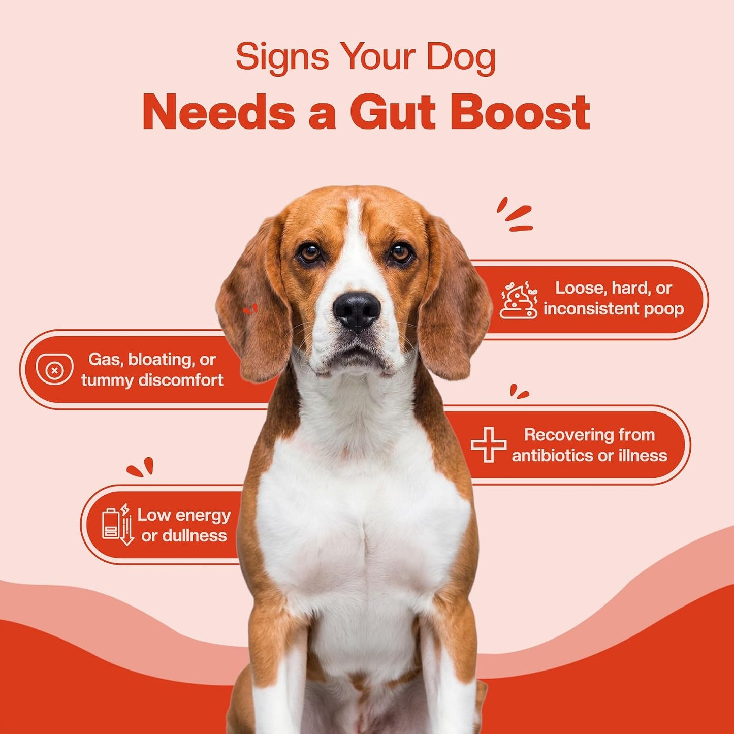 BLEP Super Gut Booster - Dog Probiotic Soft Chew Supplement, Gut Health, Loose Stool, Gas, Diarrhea & Itchy Skin | Pre, Pro & Postbiotics + Digestive Enzymes | 9 Probiotic Strains, 5B CFU | 60g