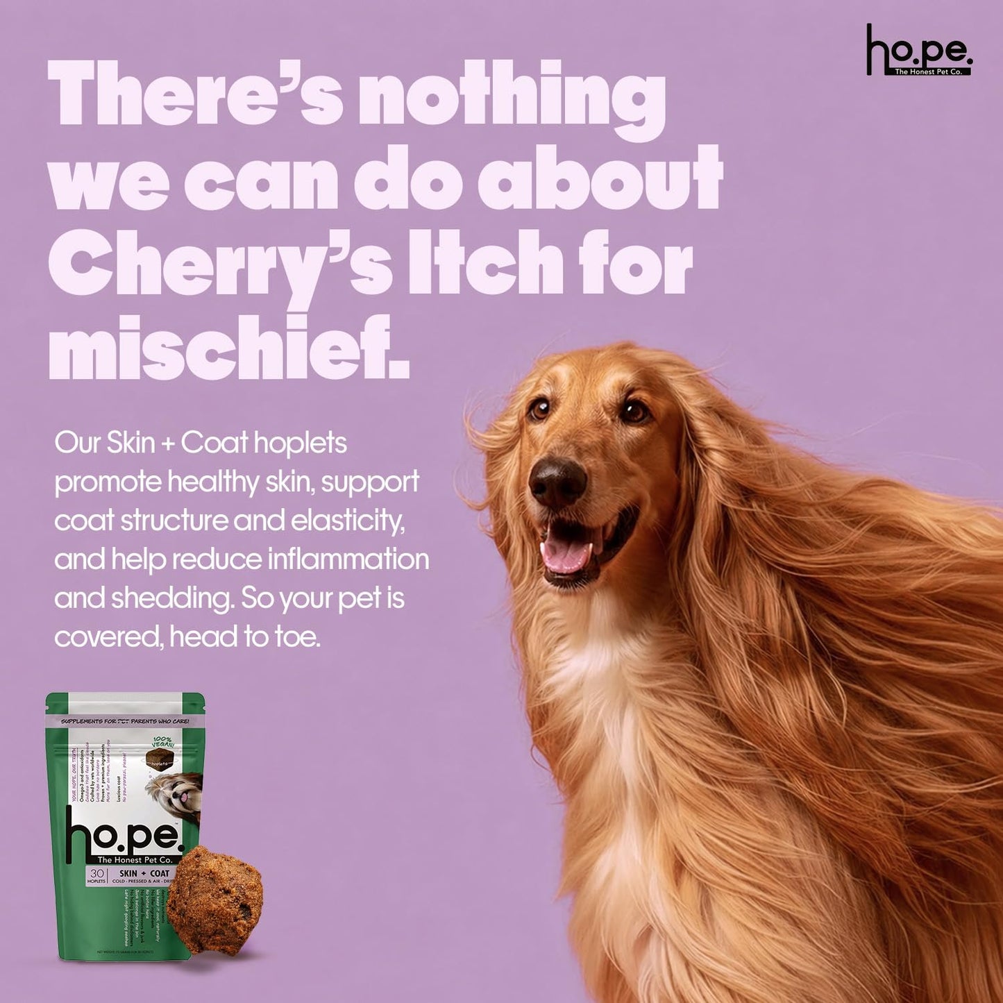 Hope Skin & Coat Supplement for Dogs 30 Vegan hoplets | Pet Chews for Skin Allergies, Itching & Scratching Relief | Biotin, Collagen, Omega 3 & 6 | Cold-Pressed | Hypoallergenic | Honest Pet Co