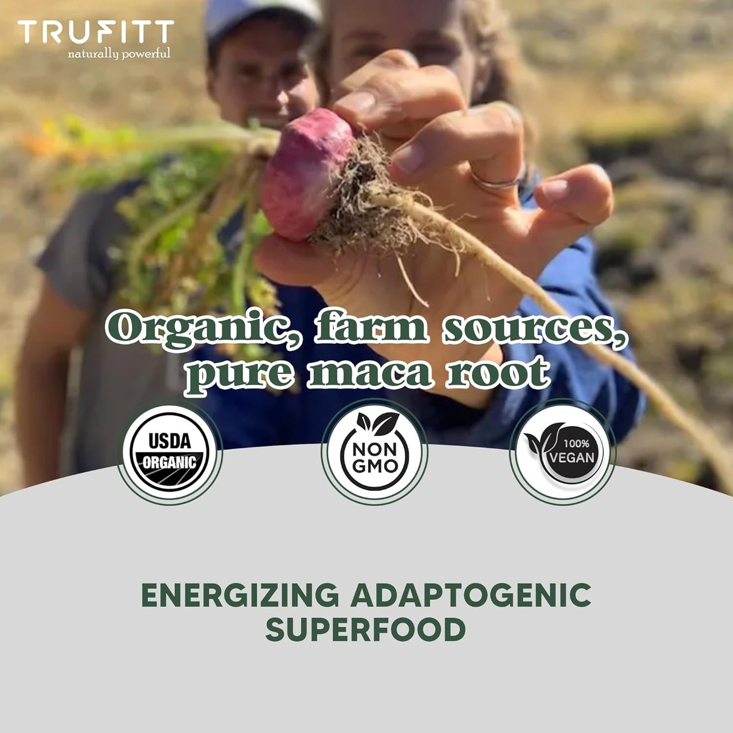 Trufitt Peruvian Yellow Maca Root Powder, Organic Herbal Supplement | Improves Energy And Stamina | Good For Men And Women - 100 GMS