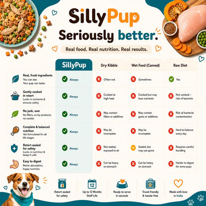 Silly Pup Chicken Dog Food | Gently Cooked Wet Food | Real Chicken, Pumpkin & Seeds | No Preservatives, No Sugar | Vet Crafted | High Protein | All Breeds & Age (1 Pouch (100g))