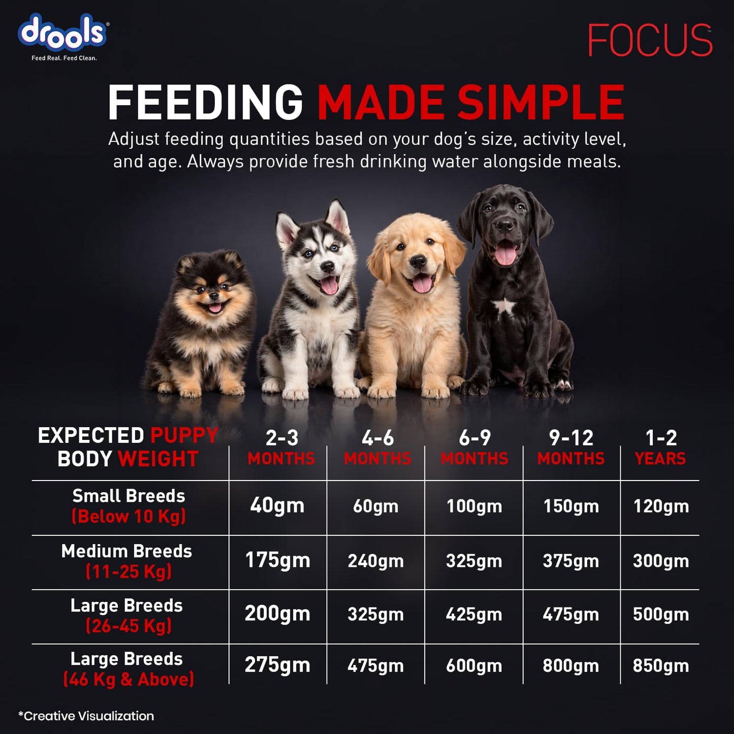 Drools Focus Premium Puppy Dry Dog Food 1.2kg Pack | Chicken Flavour | Growth & Intelligence | Digestive Health | Healthy Skin & Coat | Improves Immunity