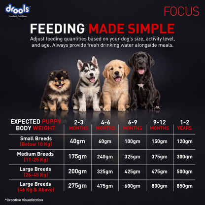 Drools Focus Premium Puppy Dry Dog Food 1.2kg Pack | Chicken Flavour | Growth & Intelligence | Digestive Health | Healthy Skin & Coat | Improves Immunity